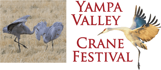 Yampa Valley Crane Festival - Sandhill Crane Png