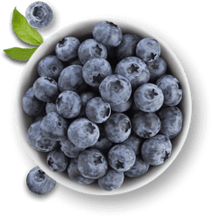 Berries Faqs Driscollu0027s - Blueberry Bowl With Transparent Background Png