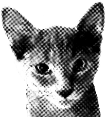 Some Kind Of Dithered Halftone Pointillist - Style Bitmap Cat Halftone Png