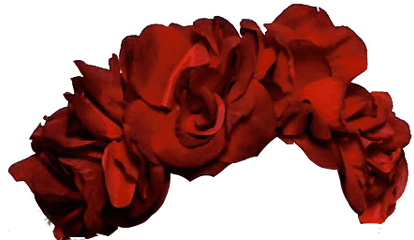 Flower Crown - Rose Flower Crown Png