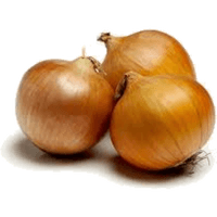 Brown Onion Bunch Free Download Image - Free PNG