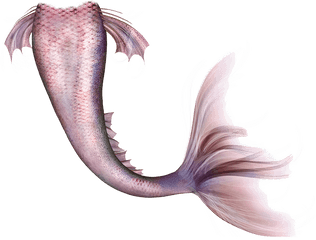 Mermaid Legendary Creature Fairy Tail - Long Mermaid Tail Png