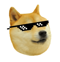 Shiba Inu Doge Meme Picture - Free PNG