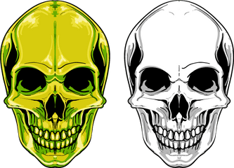 Download Euclidean Vector Skull Png Free Photo Clipart - Vector Skull Png