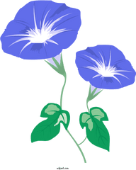 Flowers Japanese Morning Glory Petal Mochi For - Lovely Png