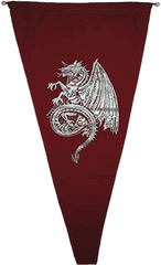 Medieval Celtic Dragon Banner - Celtic Dragon Png