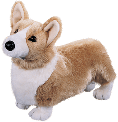 Download Corgi Dog - Corgi Stuffed Toy Png Image With No Corgi Stuffed Animal