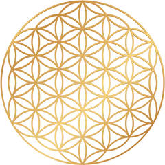 Natasha Piper Png Flower Of Life