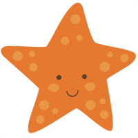 Cute Starfish Picture - Free PNG