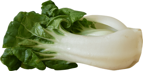 Vegetables Png Images - Bok Choy Transparent Background