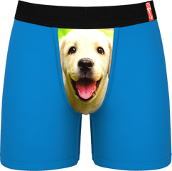Best In Show Puppy Ball Hammock Boxer Briefs - Underwear With Puppies Png