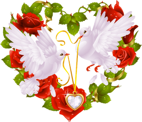 Columbidae Bird Heart Clip Art - Love Birds Images For Love Birds In Heart Png