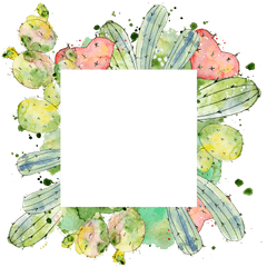 Transparent Of Square Cactus Border - Imagenes De Cactus Animados Png