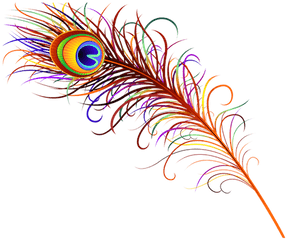 Download Redd Design Peacock Feather - Clip Art Png