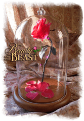 Download Free Beauty And The Beast Rose In Glass - Beauty Artificial Flower Png