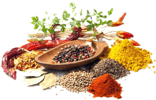 Medicine Herbs Photos Download Free Image - Free PNG