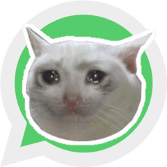 Sad Cat Stickers - Wastickerapps Wholesome Memes To Send To Friends Png