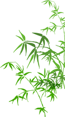 Bamboo Painting Png File Hd Clipart - Bamboo Painting Png