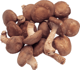 Mushrooms Png Image - Shiitake