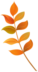 Download Foliage Clipart Fall Decoration - Fall Leaf Clipart Decorative Leaves Clip Art Png