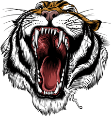 Download Png Black And White Library - Vector Angry Tiger Logo