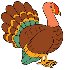 Download Hd Turkey Meat Clip Art - Clipart Turkey Png