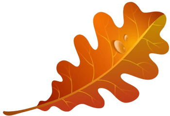 Fall Leaves Png Image - Autumn Oak Leaf Clipart