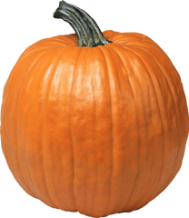 Pumpkin Png Transparent - Pumpkin Png