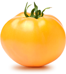 Tomato Png Images 1 Image - Gold Tomato Png