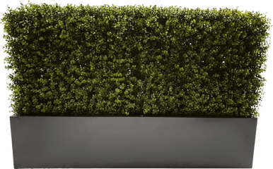 Download Hd 100cm Grey Planter - Planter Hedge Transparent Background Png