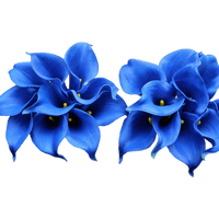 Blossom Lily Calla Free HQ Image - Free PNG