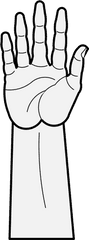 Arm - Sketch Png