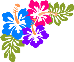 Hawaiian Luau HQ Image Free - Free PNG