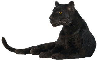 Panther Png Image