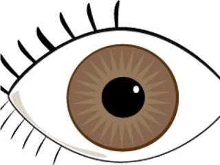 Blue Eyes Clipart Brown Eye - Brown Eye Clip Art Png