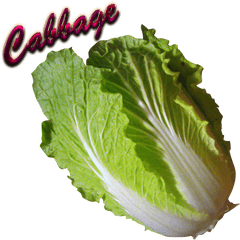 Download Cabbage Png - Cabbage Full Size Png Collard Greens