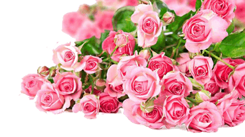 Bouquet Rose Pic Valentine Free Download Image - Free PNG