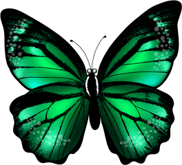 Download Abstract Purple Butterfly - Transparent Green Butterfly Png