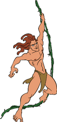 Tarzan Disney Clipart - Tarzan Swinging On Vine Png