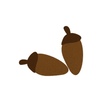 Acorn Free Transparent Image HQ - Free PNG