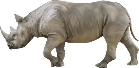 Download Hd Rhino Png Clipart - Rhino Png