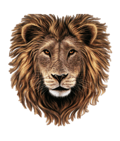 Lion Head Clipart - Free PNG