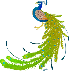 Peacock Clipart - Peacock Transparent Png Hd