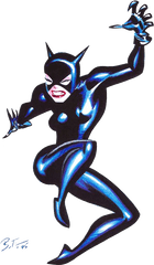 Png Photos For Designing Projects - Bruce Timm Catwoman