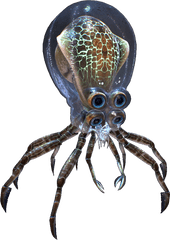 Crabsquid Subnautica Wiki Fandom - Subnautica Octopus Png