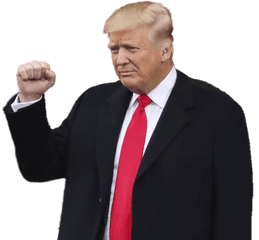 Download Hd Donald Inauguration - Donald Trump Transparent Background Png