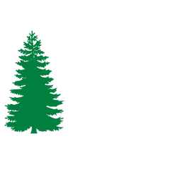 Free Image - Fir Evergreen Trees Silhouette Vector Pine Tree Silhouette Png