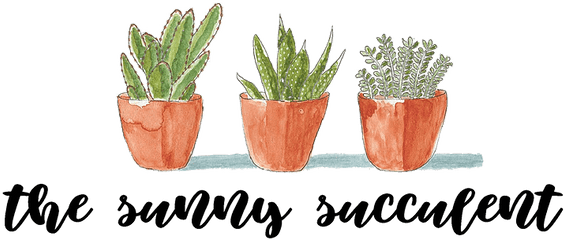 Home The Sunny Succulent - Fines Herbes Png