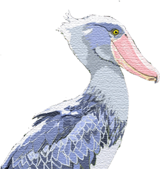 S Number 1 Is For Shoebill Stork Lizbrownlee - Poet Shoebill Stork Png