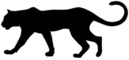 Puma Silhouette Panther Leopard Cougar Black - Free PNG